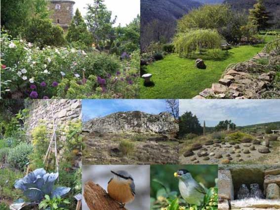 Les Jardins De L'Abbaye Villa Simiane-la-Rotonde Værelse billede