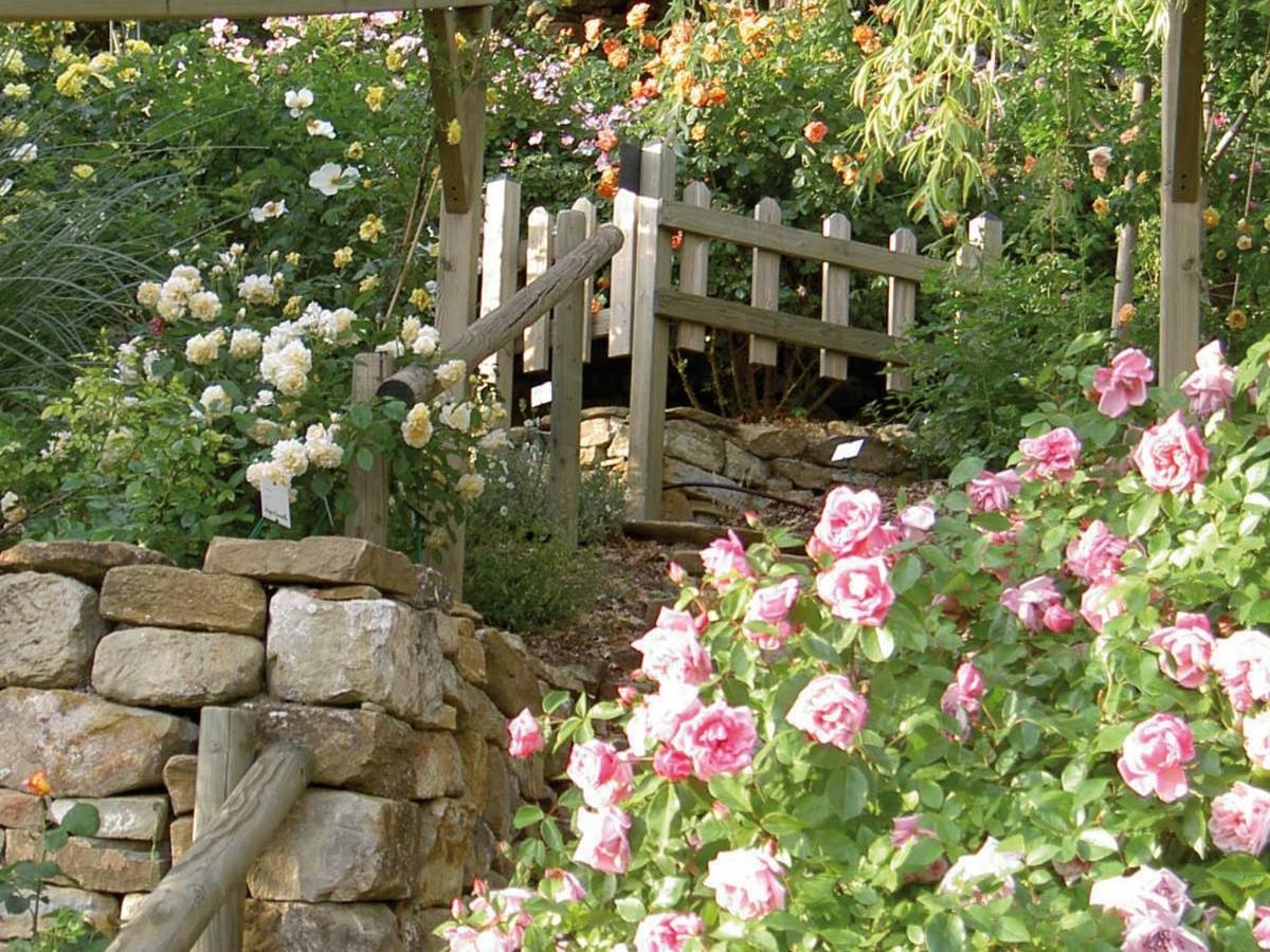 Les Jardins De L'Abbaye Villa Simiane-la-Rotonde Værelse billede