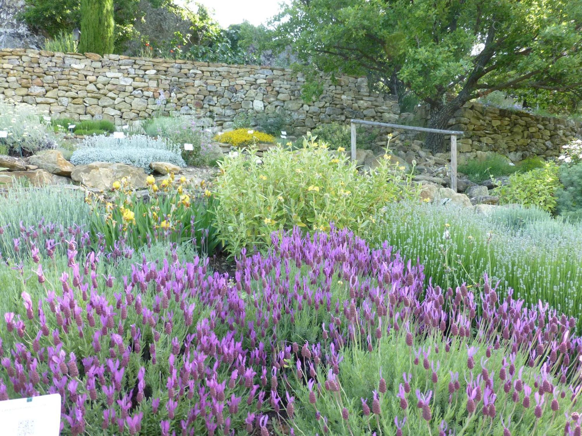 Les Jardins De L'Abbaye Villa Simiane-la-Rotonde Værelse billede